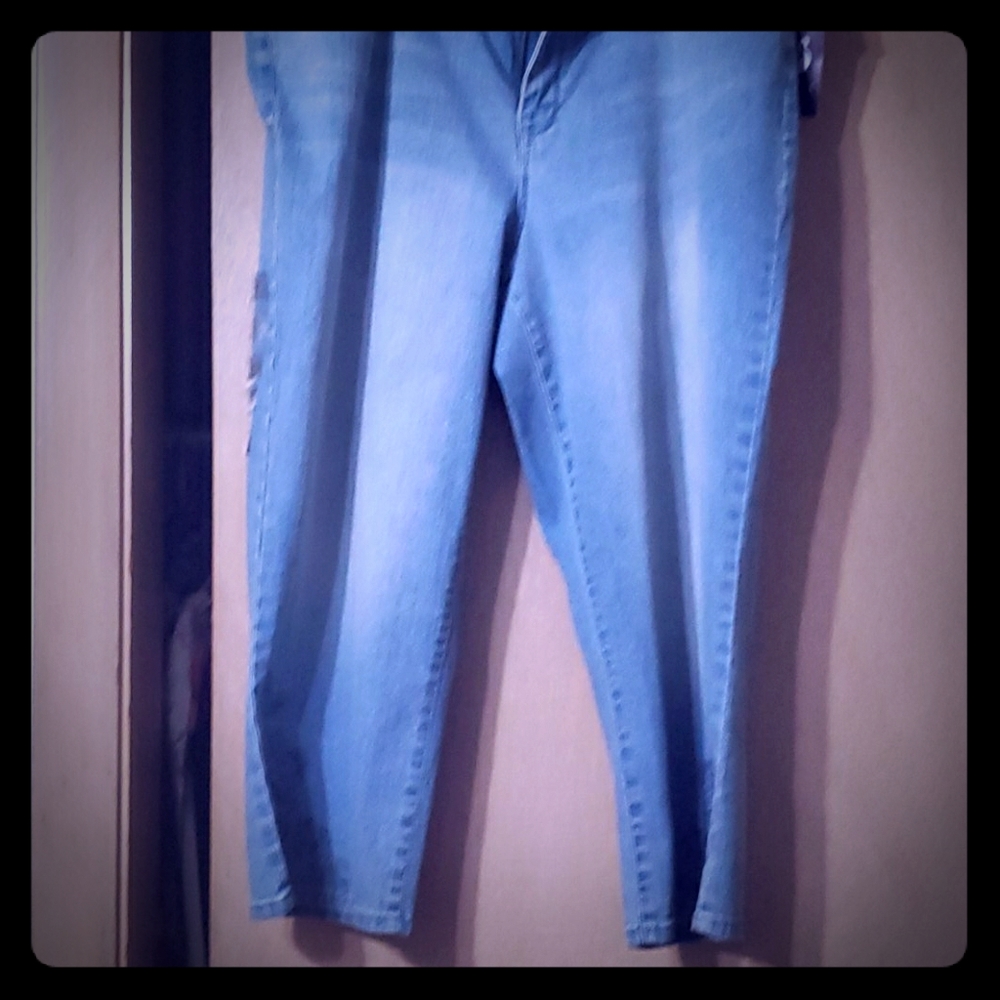 Embroided Capri